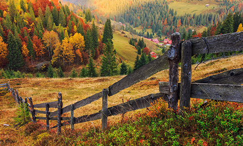 A wooden fence stands prominently in the center of a grassy field under a clear blue sky