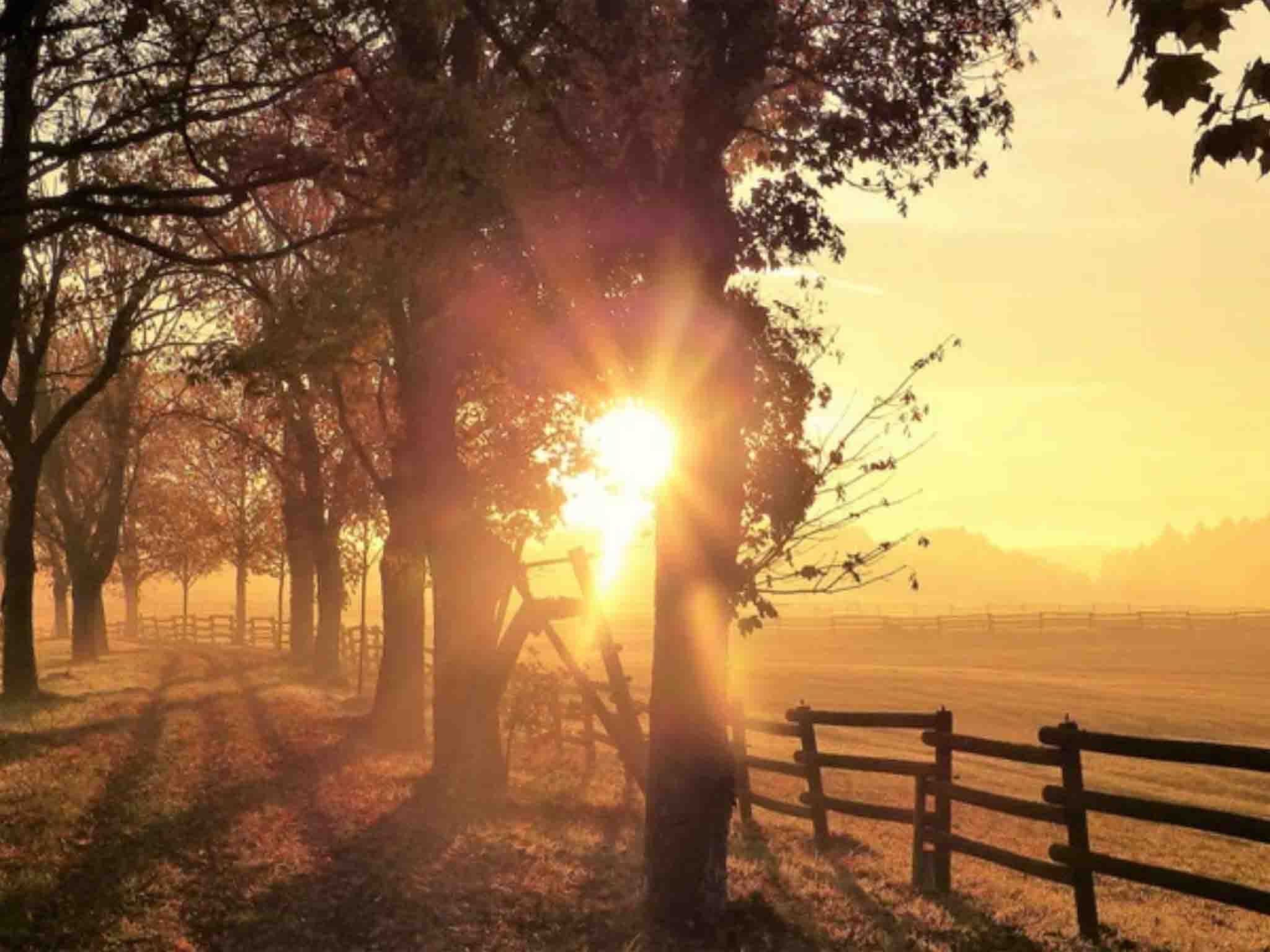 Fields in Fall at Sunset