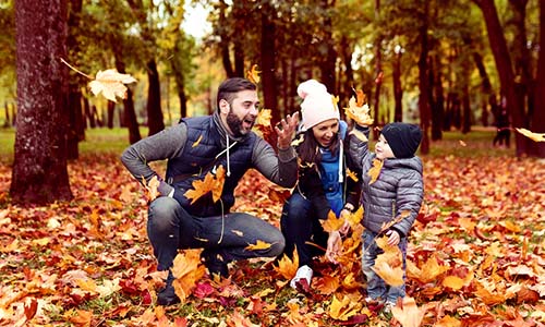 A family of four enjoying a fall day, surrounded by colorful autumn leaves in a park